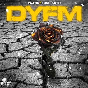 Dyfm (Don't You Forget Me) [feat. Euro Gotit] by Yaang, King Gotit