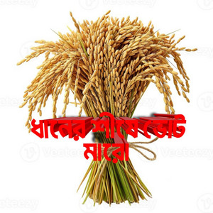 ধানের শীষে ভোট মারো