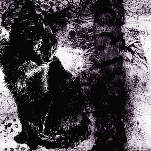 stuck on me by hykami