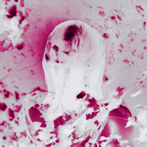 PINKNOISE — RAIN (Reimagined) (2026)