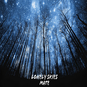 Обкладинка: Lonely Skies
