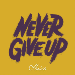 Avivo - Never Give Up