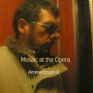 Mosaic At The Opera