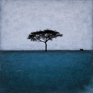 Flarine