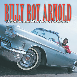 Shake Your Hips ‑ 曲・歌詞：Billy Boy Arnold | Spotify