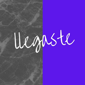 LLEGASTE by felix boy