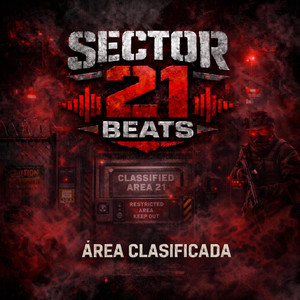 Area Clasificada by sector 21