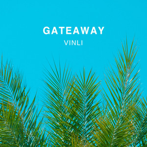 VINLI - Gateaway
