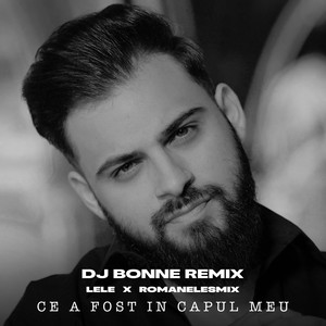 Lele & RoMANELEsMIX - Ce a fost in capul meu (Dj Bonne Remix)