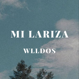WLLdos - Mi Lariza