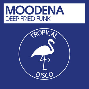Deep Fried Funk by Moodena