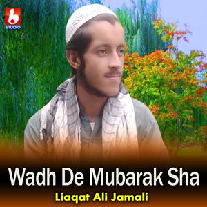 Liaqat Ali Jamali - Wadh De Mubarak Sha