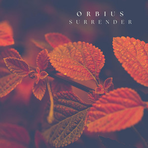 Surrender