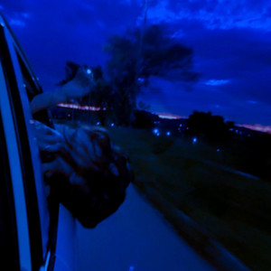 gæb - all i think about