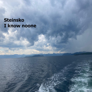 I know noone by Steinsko