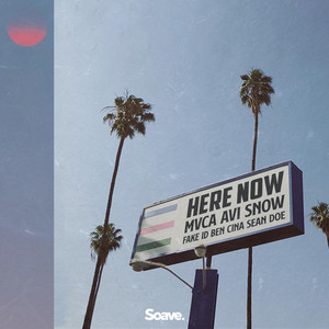 Here Now by MVCA, Avi Snow, Fake ID, Ben Cina, Sean Doe