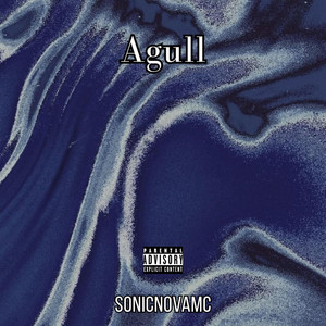 Agull by SonicNovaMC