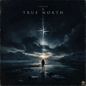 True North by Varun Parekh