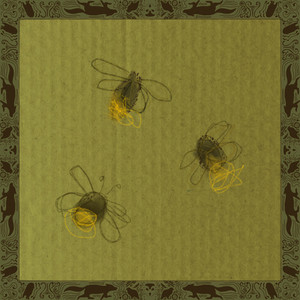 Forest Fireflies by Story Of Audiorae
