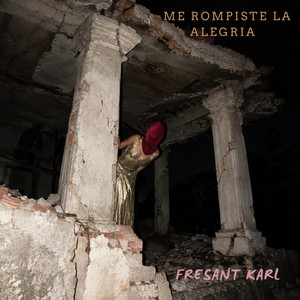 Me rompiste la alegria by Fresant karl