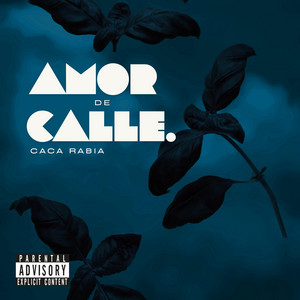 Amor De Calle by Caca Rabia