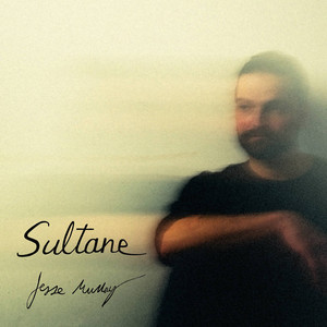Que dirais-tu ce soir by Jesse Murray