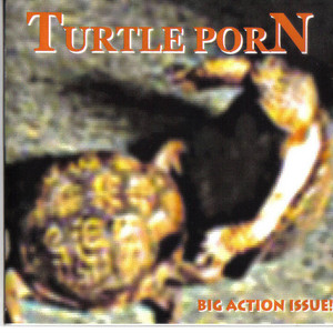 Message From Vega - song and lyrics by Turtle Porn | Spotify