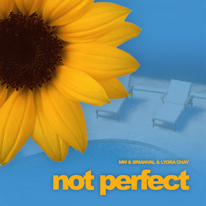 Not Perfect by MW, BrianVal, LyoraChay
