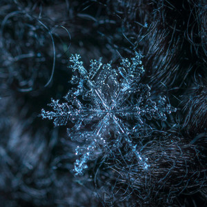 HAPPY CHRISTMAS (Radio Edit)