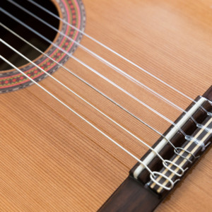 Leonardo Travensoli - Steel Guitar