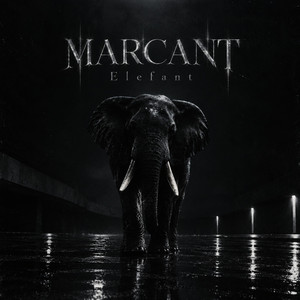 Marcant Elefant by Lil Koasyy