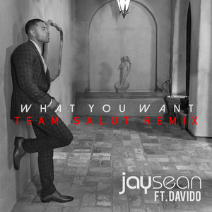 What You Want (Team Salut Extended Mix)
