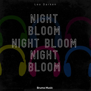 Dim Silence Beyond Curtain by Leo Darken