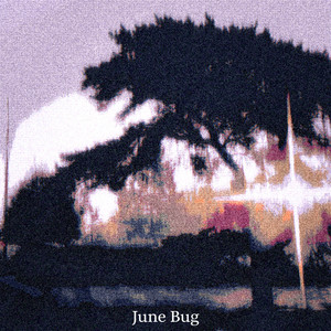 june bug by Gavin Hill