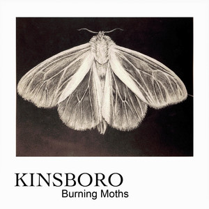 Burning Moths by KINSBORO