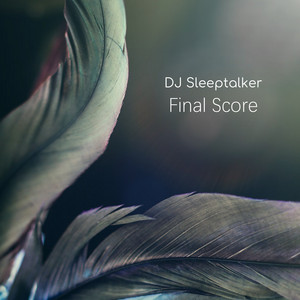 Final score by DJ Sleeptalker