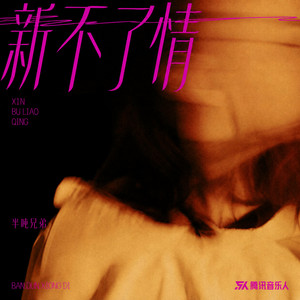 新不了情（烟嗓版） by 半吨兄弟