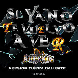 Si ya no te vuelvo aver