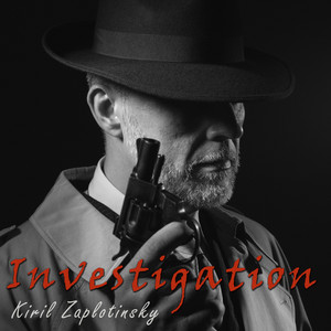 Kyrylo Zaplotynskyi — Investigation