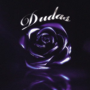 DUDAS
