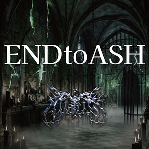 ENDtoASH by DIARIS
