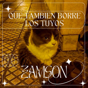 SIN CONOCERTE by ZAMSON