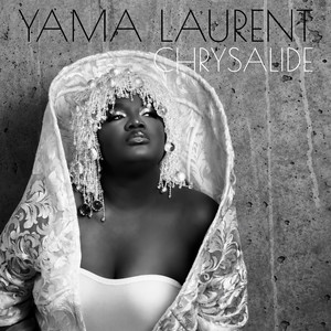 Mal invisible by Yama Laurent, Raccoon