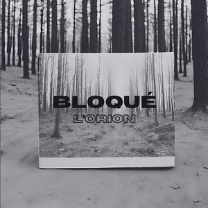 Portada de Bloqué