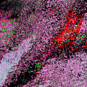 Transmutation by Function