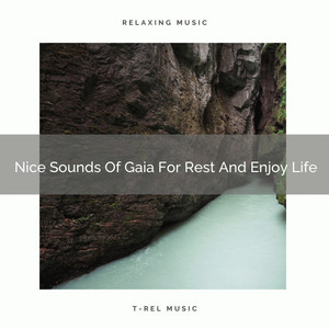 Nice Sounds Of Gaia For Rest And Enjoy Life album