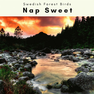 2022 Nap Sweet album