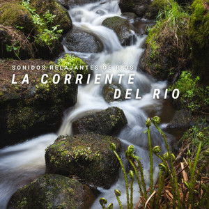 La Corriente Del Rio: Sonidos Relajantes De Rios album