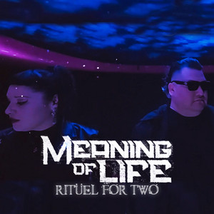 Meaning of life by Ritüel For Two