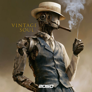 Vintage Soul by 2050